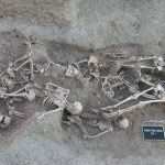 伤害人类超过1500年，曾杀死欧洲一半人口，它靠改变一个基因操纵了人类命运