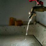 全球水体中检出近千种药物成分，受影响的鱼类正变得“疯狂”
