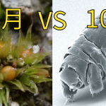 比水熊虫还耐杀的生物出现了，它能在外太空生存9个月！