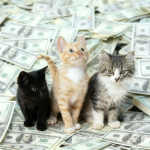 年薪+65万的平替，你可能已经拥有了