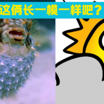 辛苦观测7年，科学家终于发现太阳像一只生气的河豚