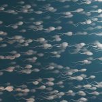 超过这个年龄，精子会断崖式衰老，且会传给下一代！